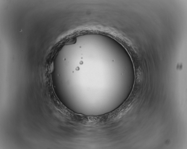 X0000100321494200806121051