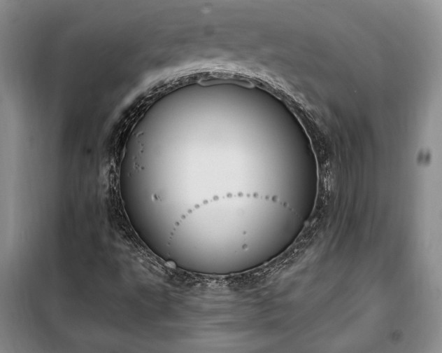 X0000100321495200806121051