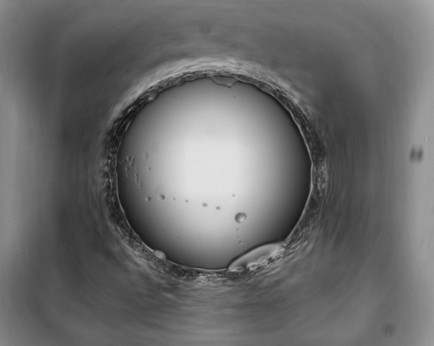 X0000100321496200806121051