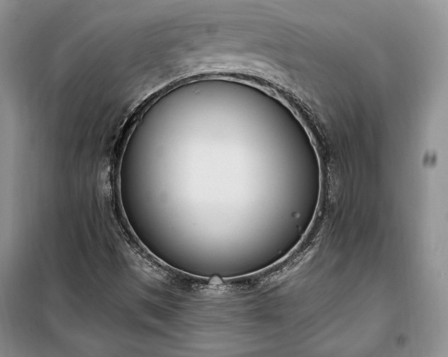 X0000100321497200806121051