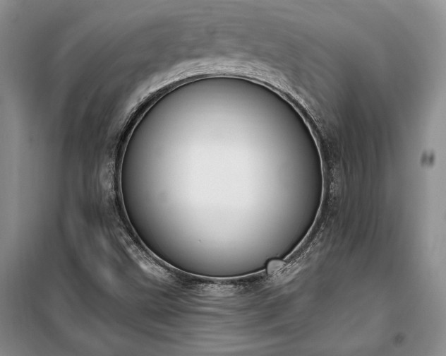 X0000100321499200806121051