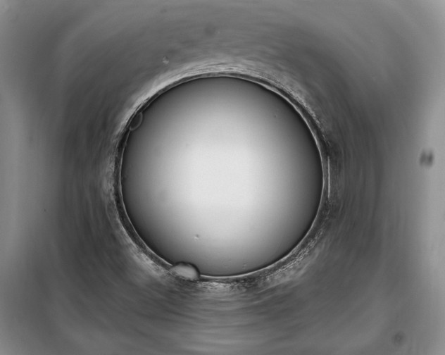 X0000100321500200806121051