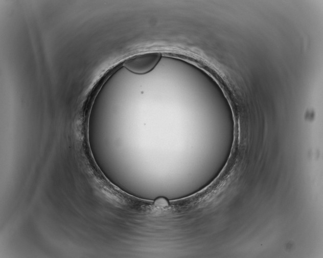 X0000100321501200806121051