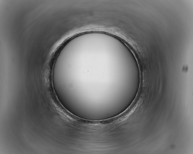 X0000100321502200806121051