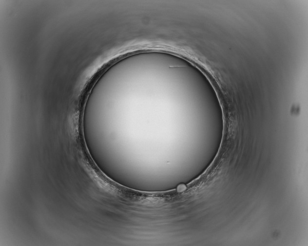 X0000100321503200806121051