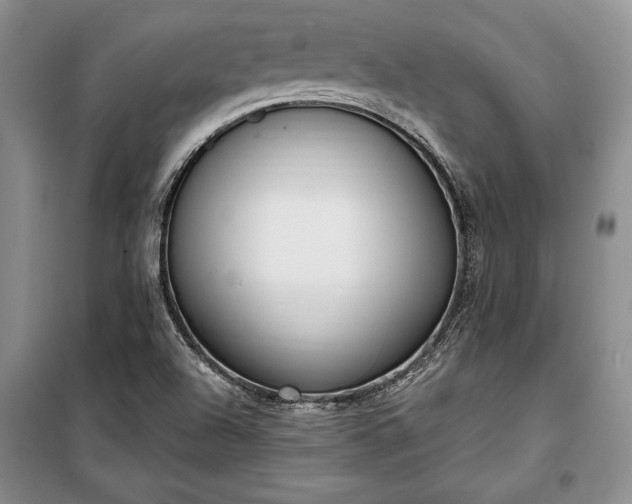 X0000100321504200806121051