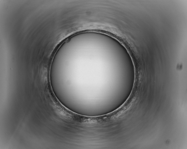 X0000100321505200806121051