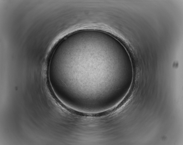 X0000100321506200806121051