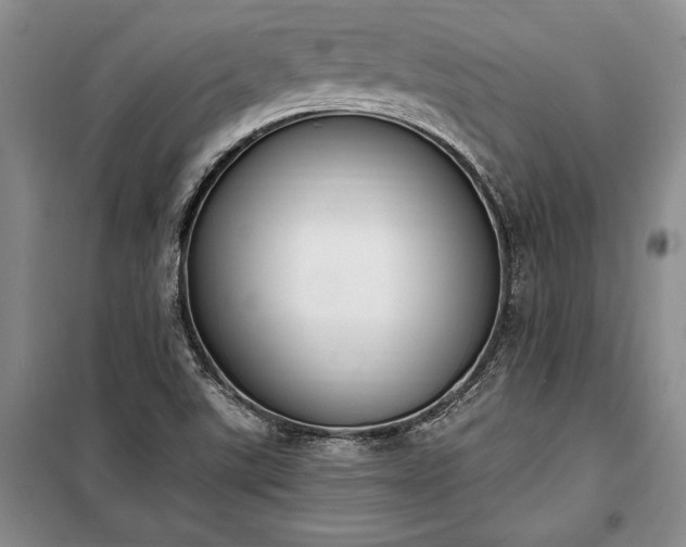 X0000100321507200806121052