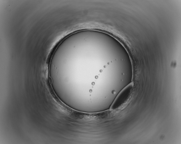 X0000100321509200806121052