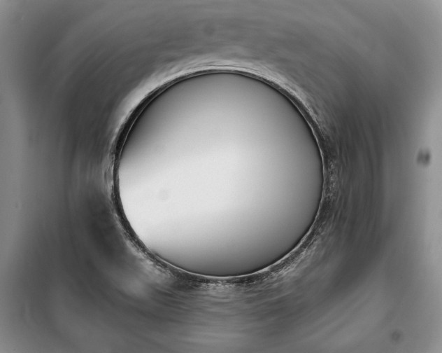 X0000100321511200806121052