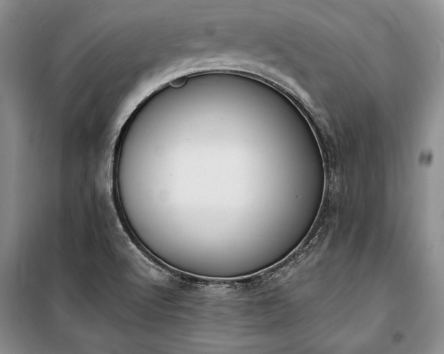 X0000100321512200806121052