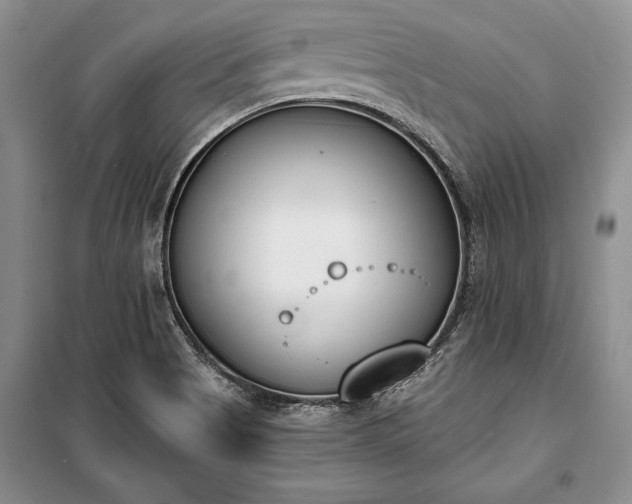 X0000100321513200806121052