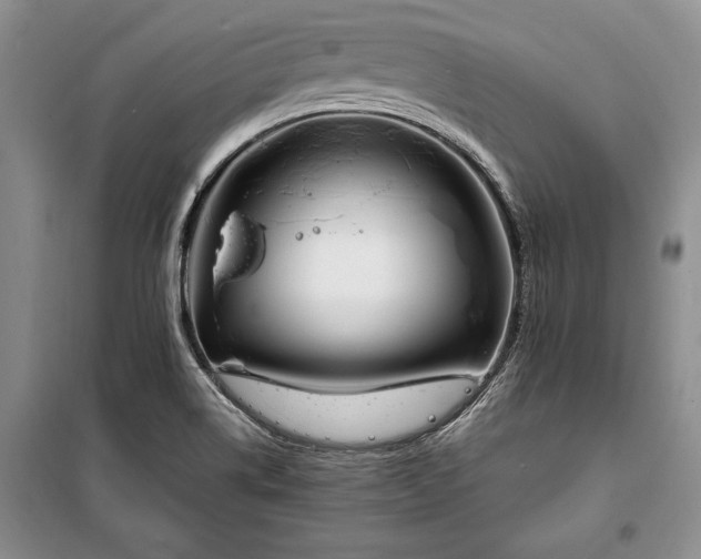 X0000100321514200806121052