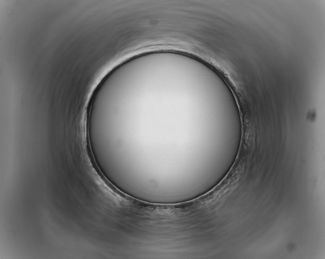 X0000100321516200806121052