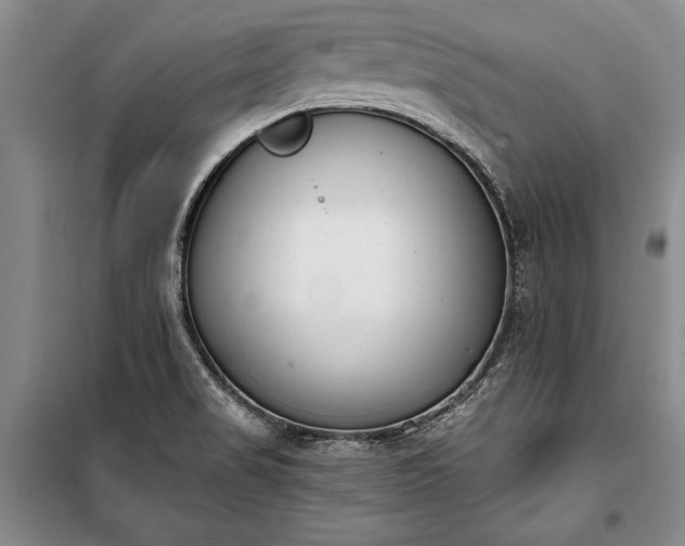 X0000100321517200806121052