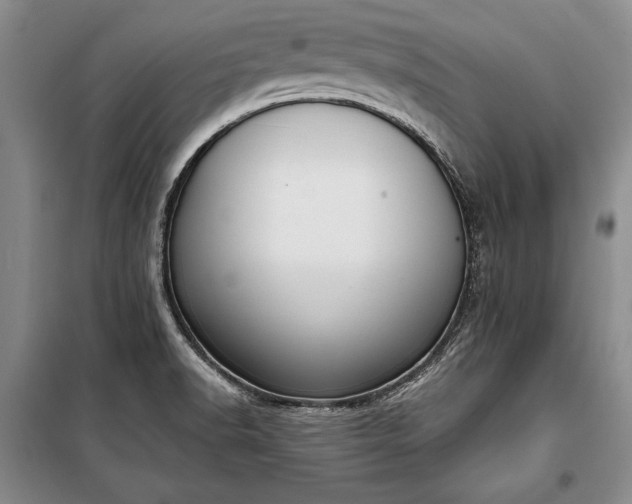 X0000100321518200806121052