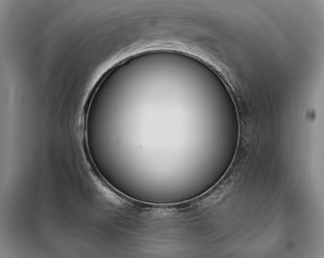 X0000100321519200806121052