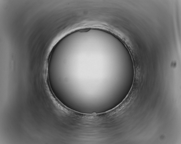 X0000100321520200806121052