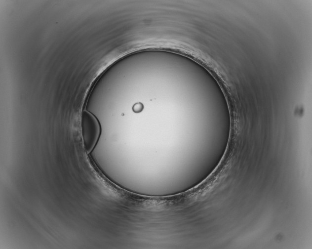 X0000100321521200806121052