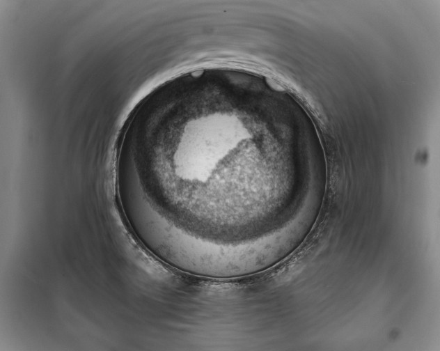 X0000100321522200806121052