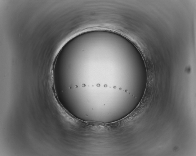 X0000100321524200806121052