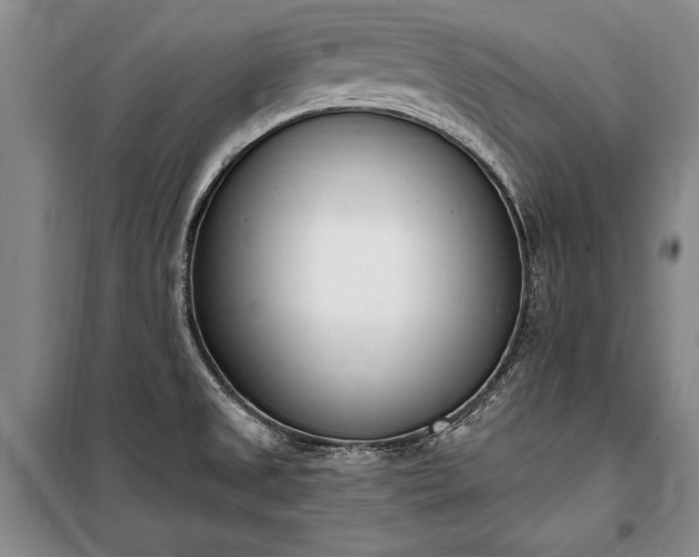 X0000100321525200806121052