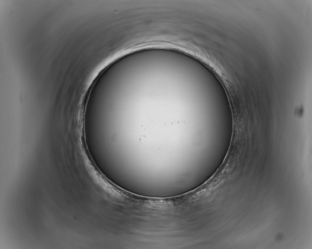 X0000100321526200806121052