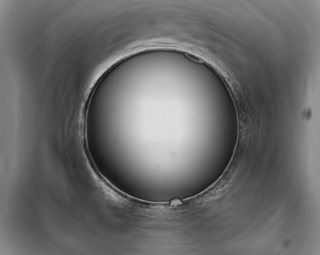 X0000100321527200806121052