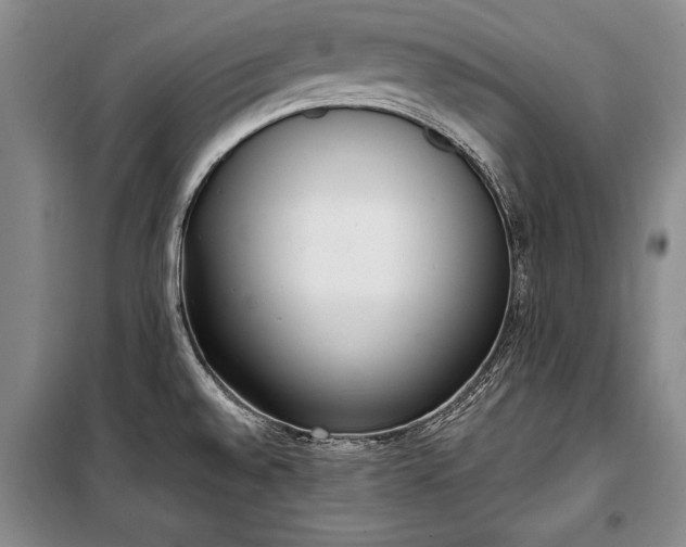 X0000100321528200806121052