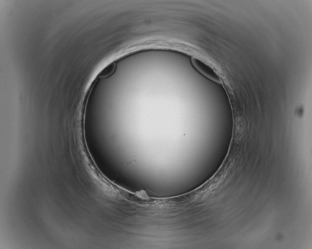 X0000100321530200806121052