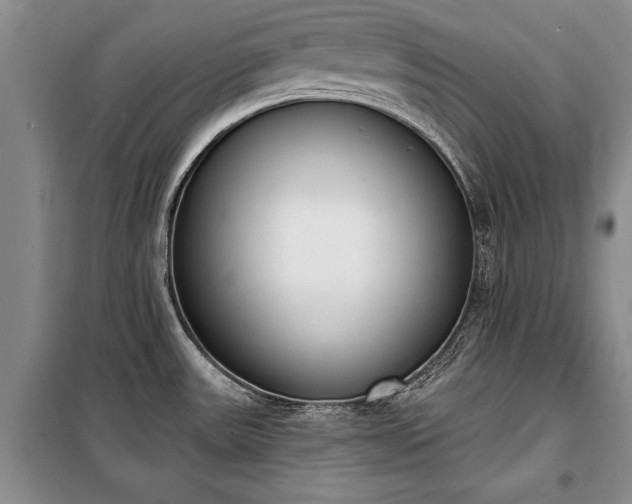 X0000100321531200806121052