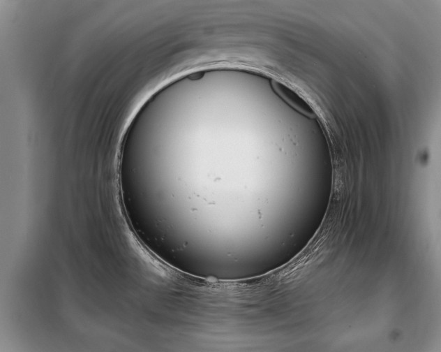 X0000100321532200806121052