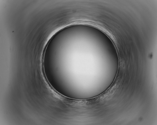 X0000100321533200806121052