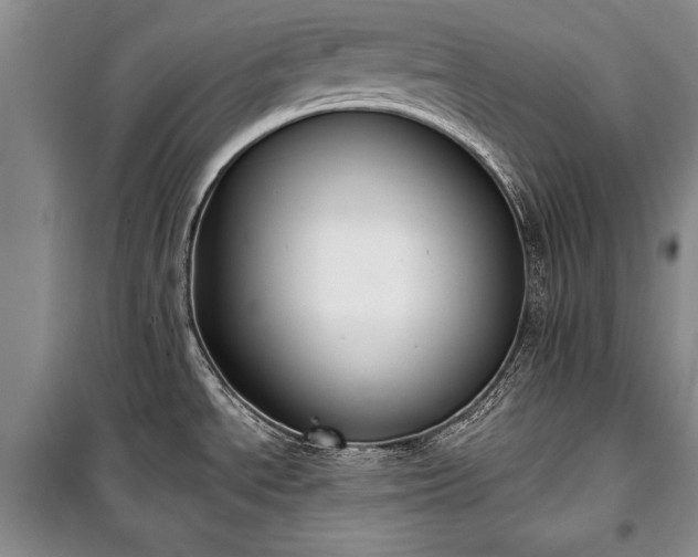 X0000100321534200806121052