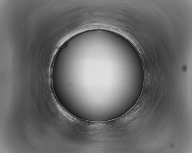 X0000100321535200806121052