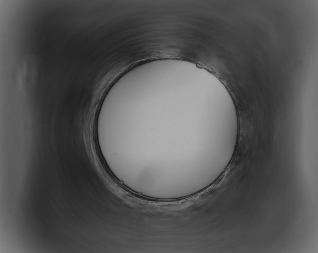 X0000100320001200806191013