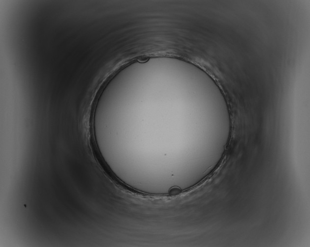 X0000100320002200806191013