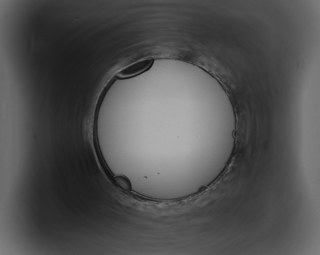 X0000100320003200806191013