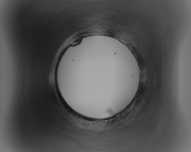 X0000100320004200806191013