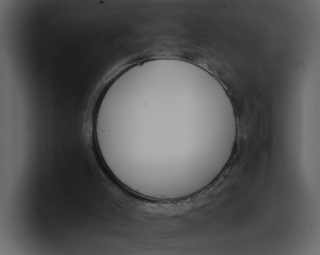 X0000100320005200806191013