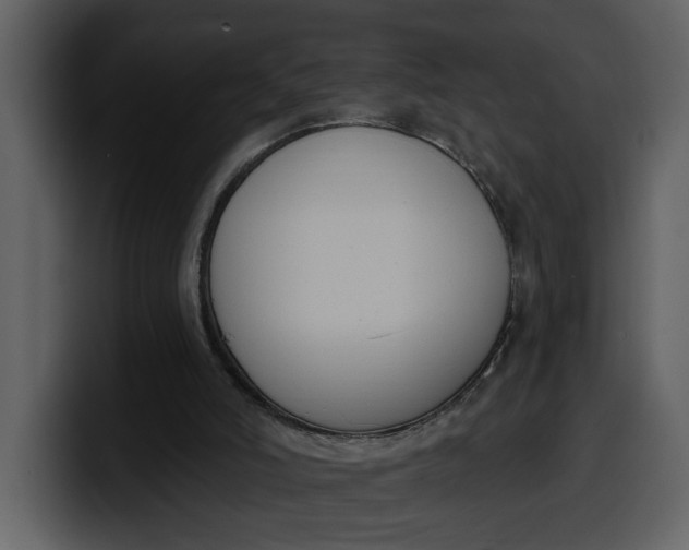 X0000100320006200806191013