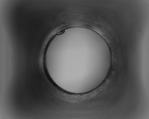 X0000100320007200806191013