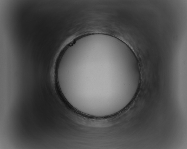 X0000100320008200806191013