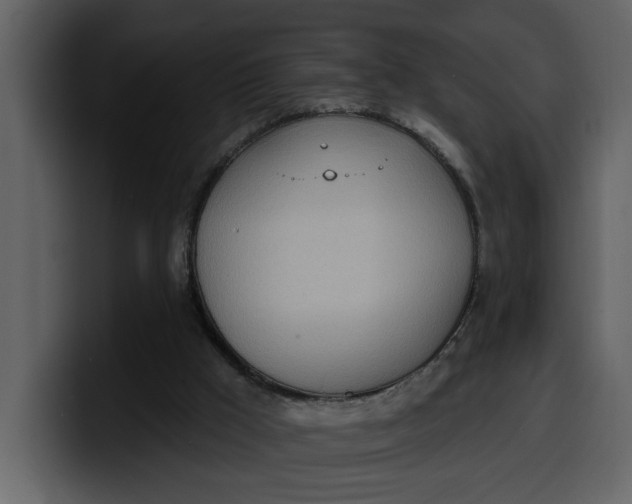 X0000100320009200806191013