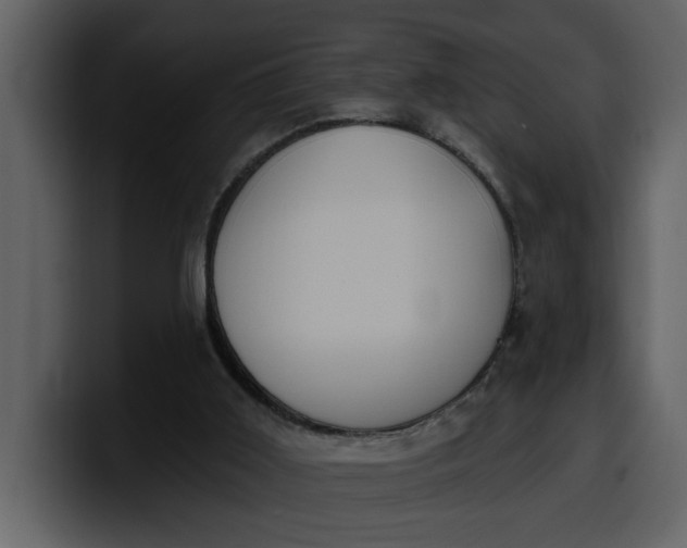 X0000100320011200806191013