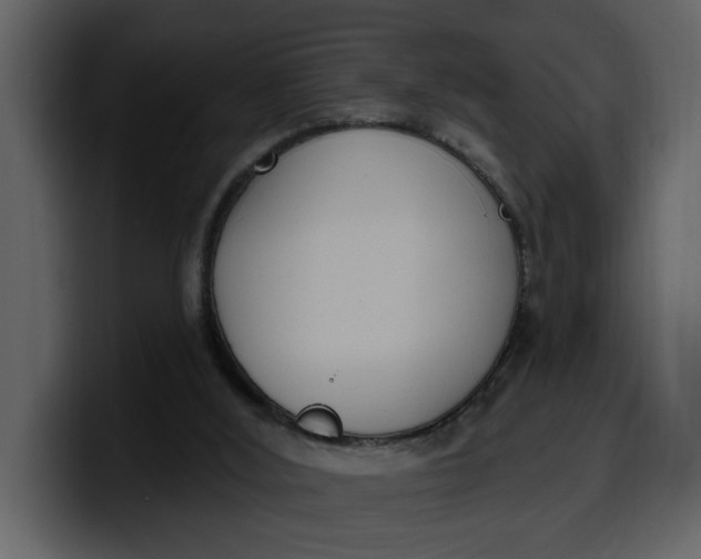 X0000100320012200806191013