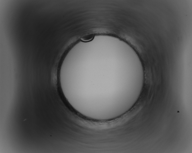 X0000100320015200806191013