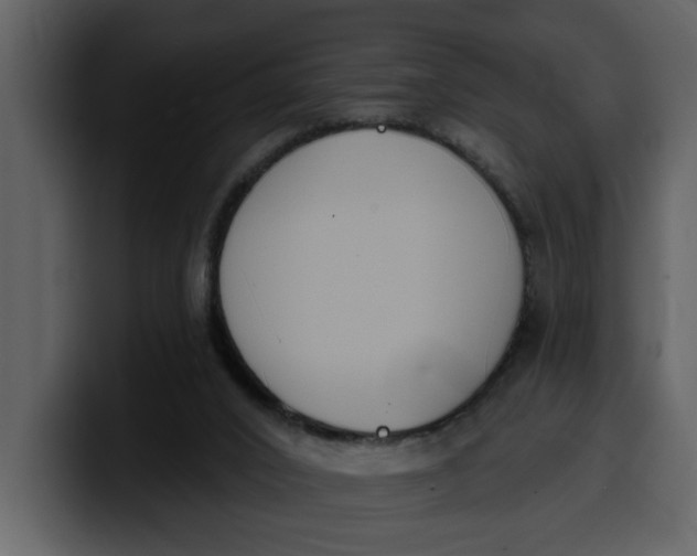 X0000100320016200806191013