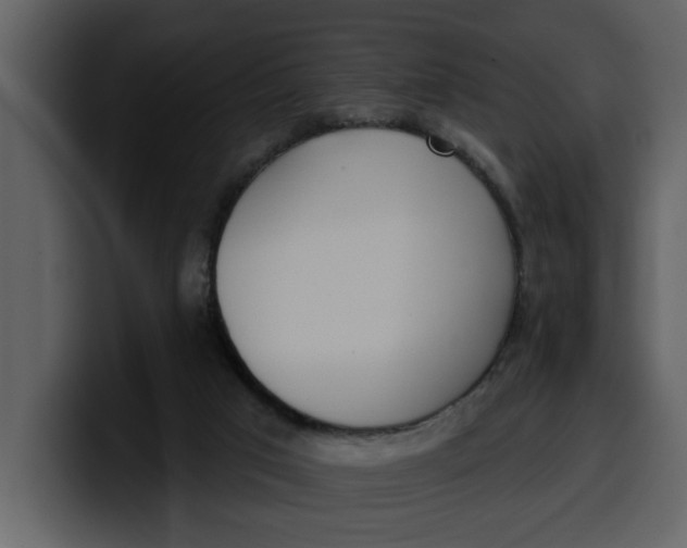 X0000100320017200806191013